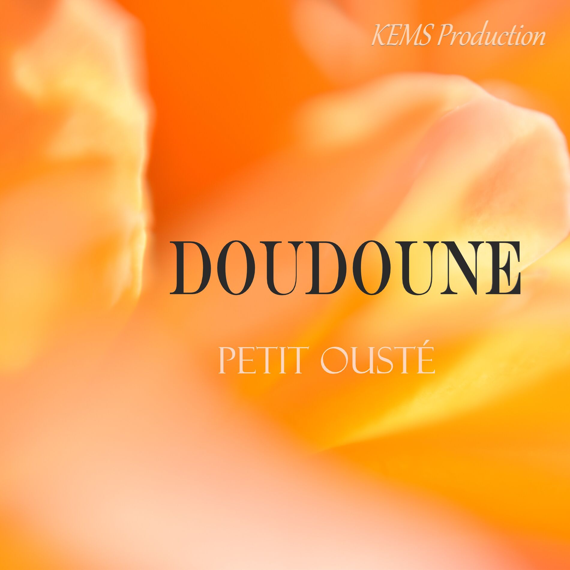 Album cover of DOUDOUNE