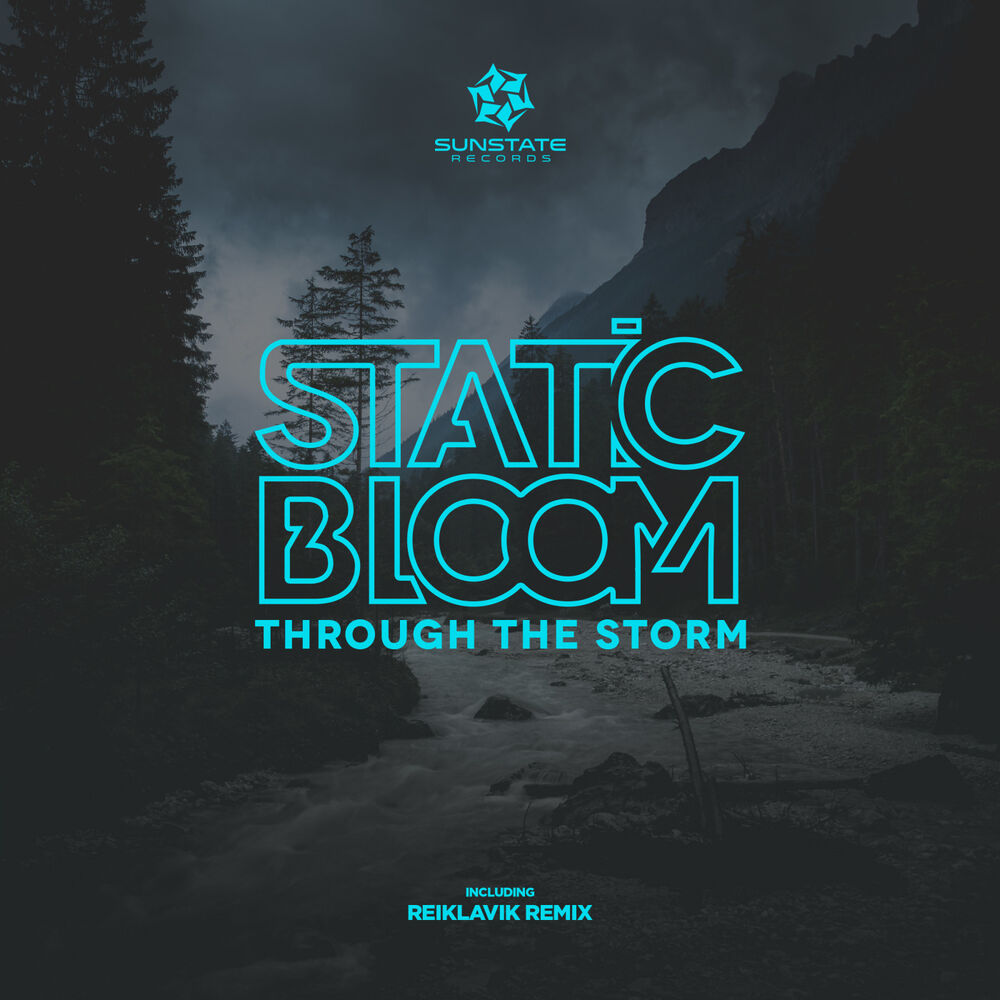 Picture of Through the Storm