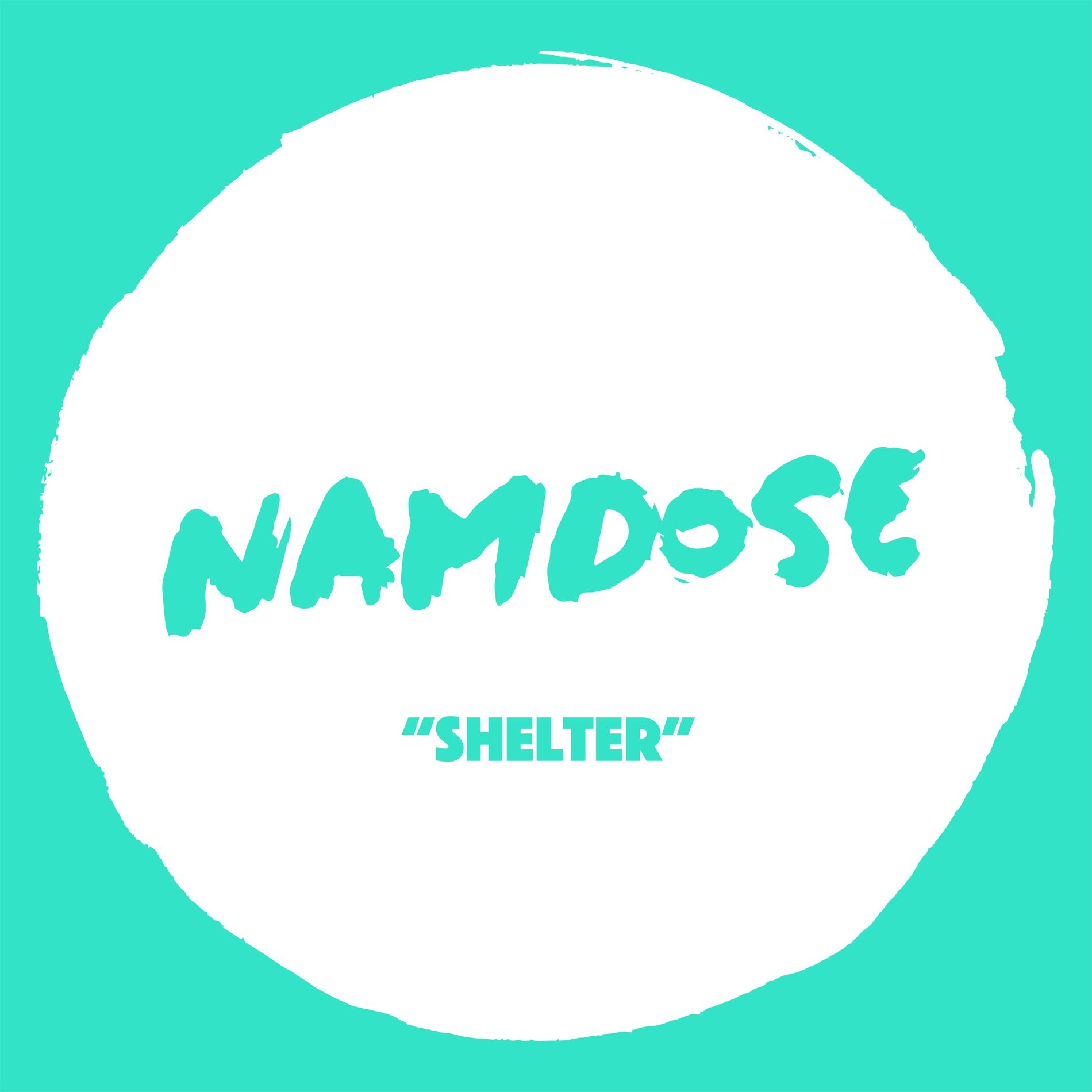 Album cover of Shelter
