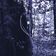 Black Orchid by Roman Poncet album cover