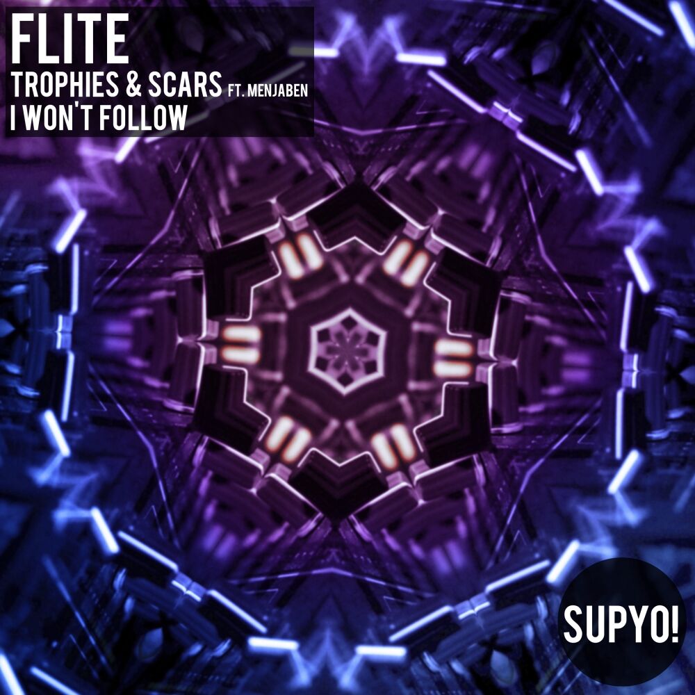 Picture of Trophies & Scars / I Won't Follow