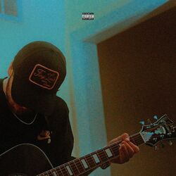 Cover of baggage