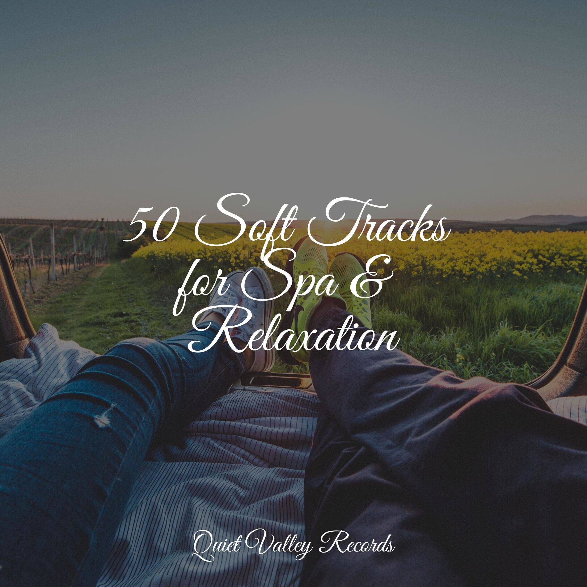 Album cover of 50 Soft Tracks for Spa & Relaxation