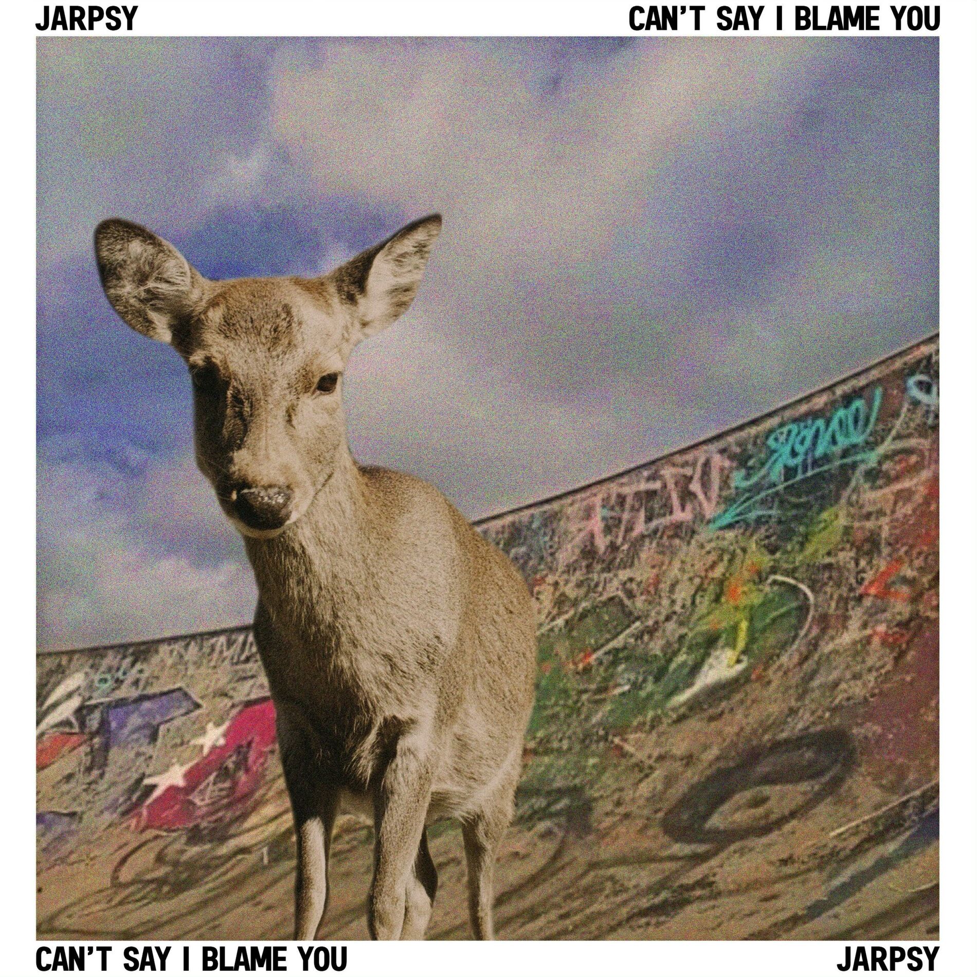 Album cover of Can't Say I Blame You