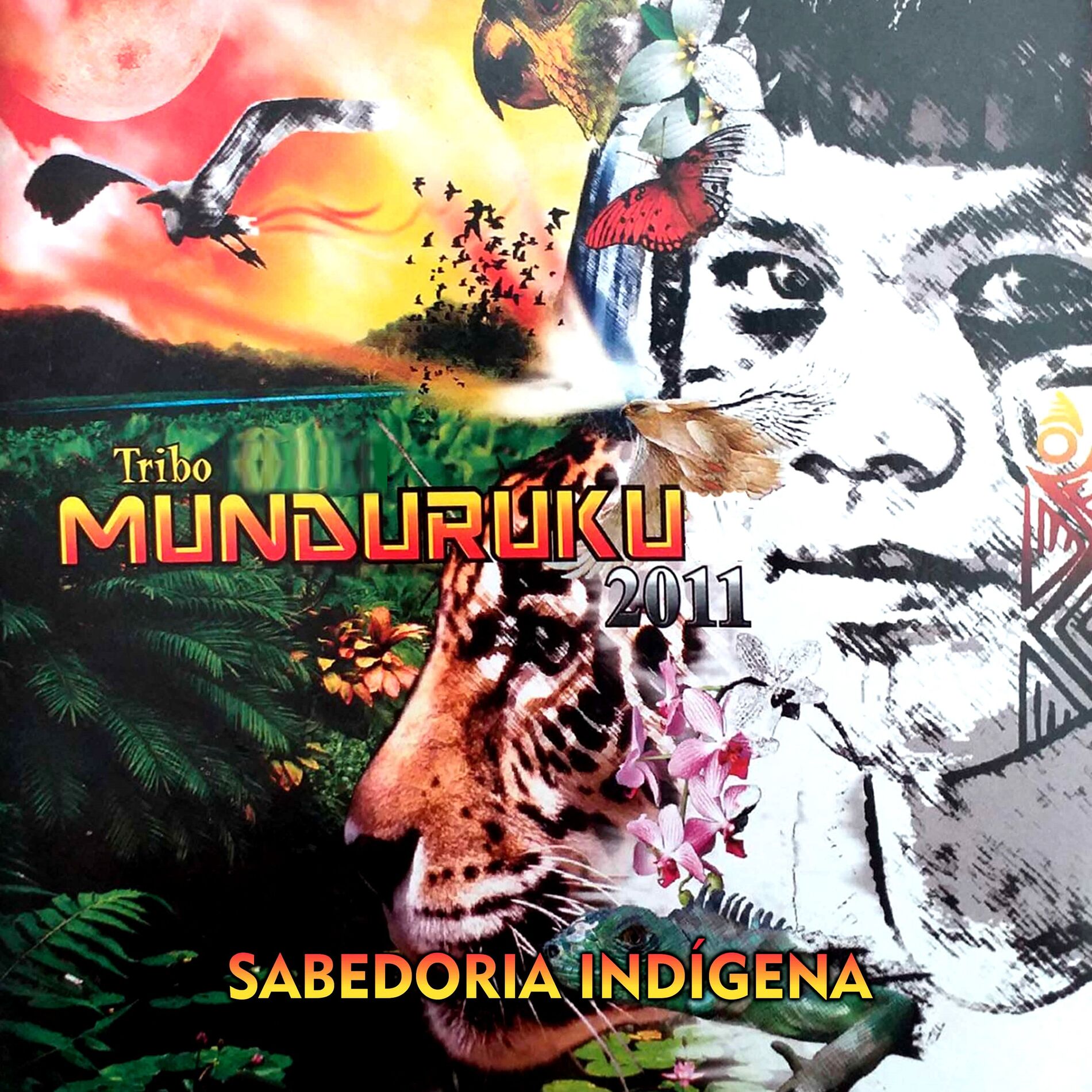 Album cover of Sabedoria Indígena