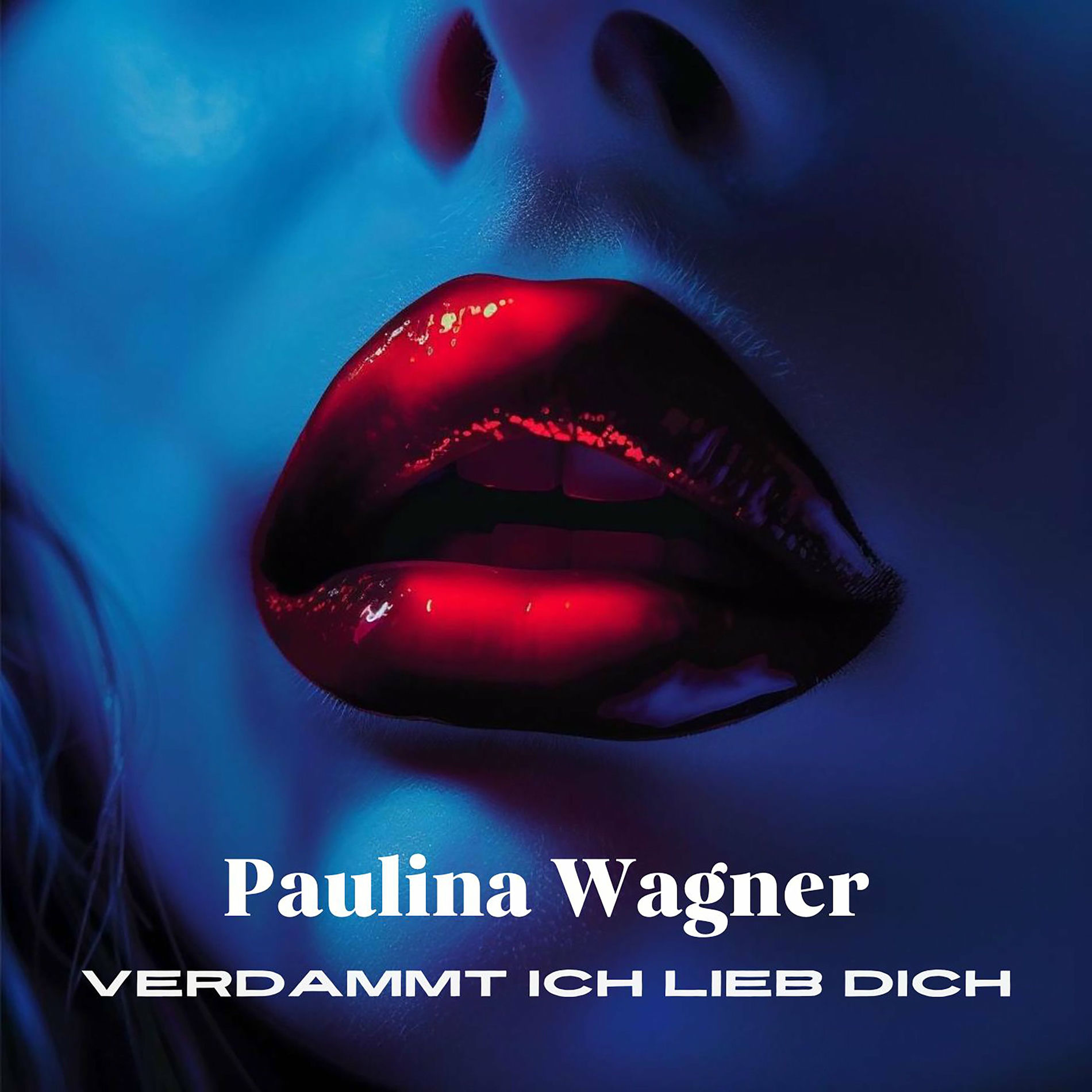 Album cover of Verdammt ich lieb dich