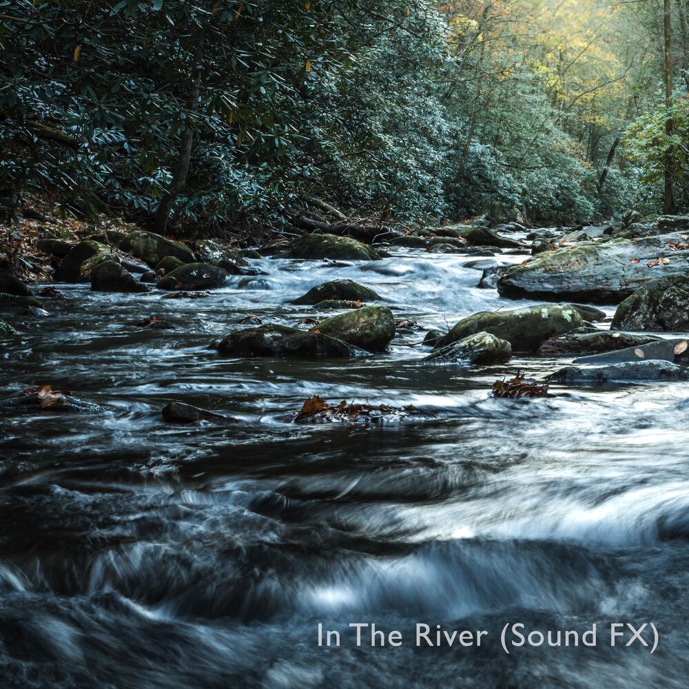 Picture of More Swedish River Sounds