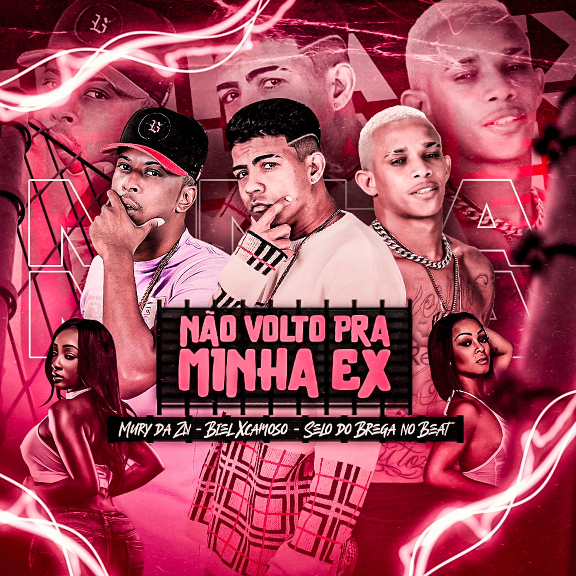 Album cover of Não Volto pra Minha Ex