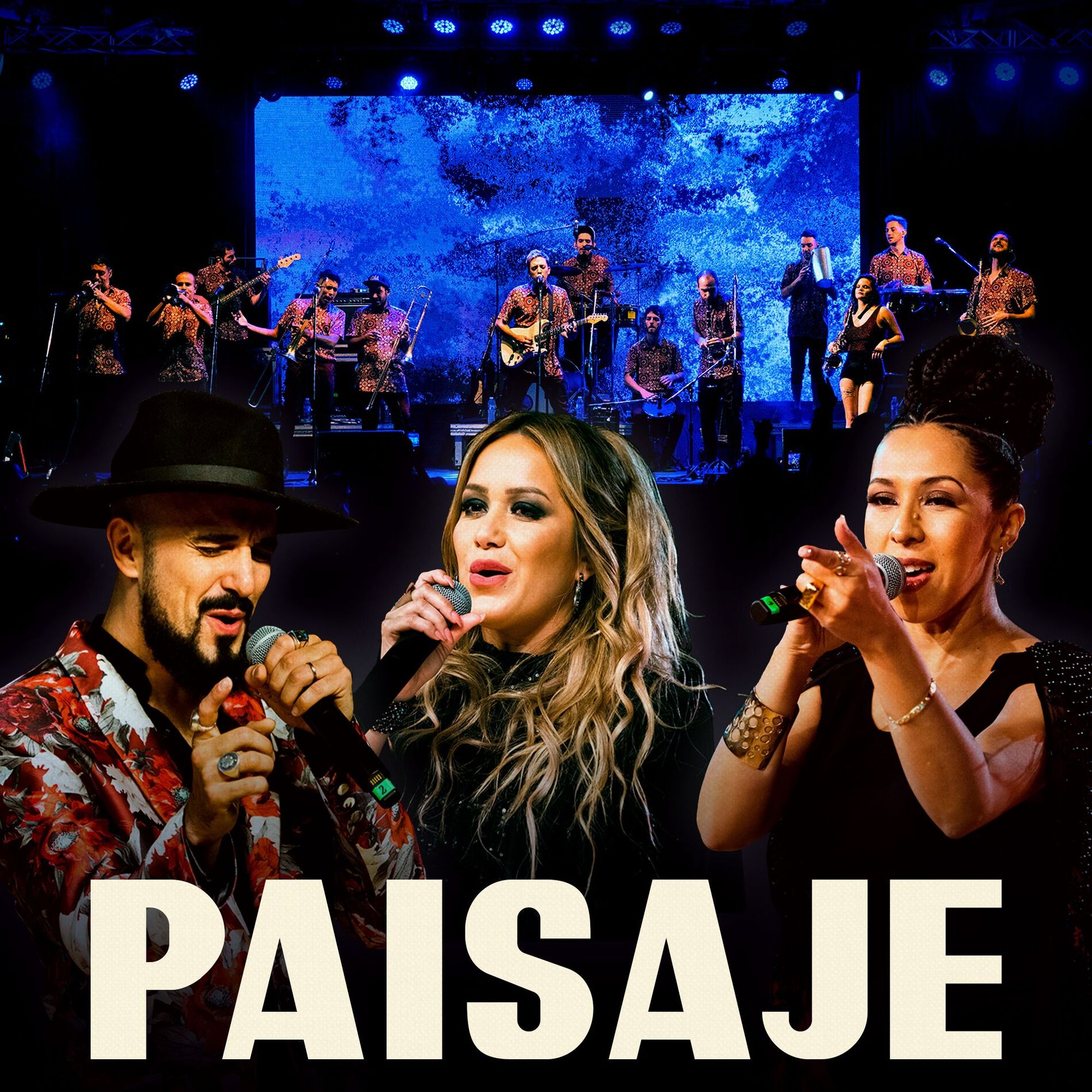 Album cover of Paisaje