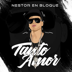 Cover of Tanto Amor