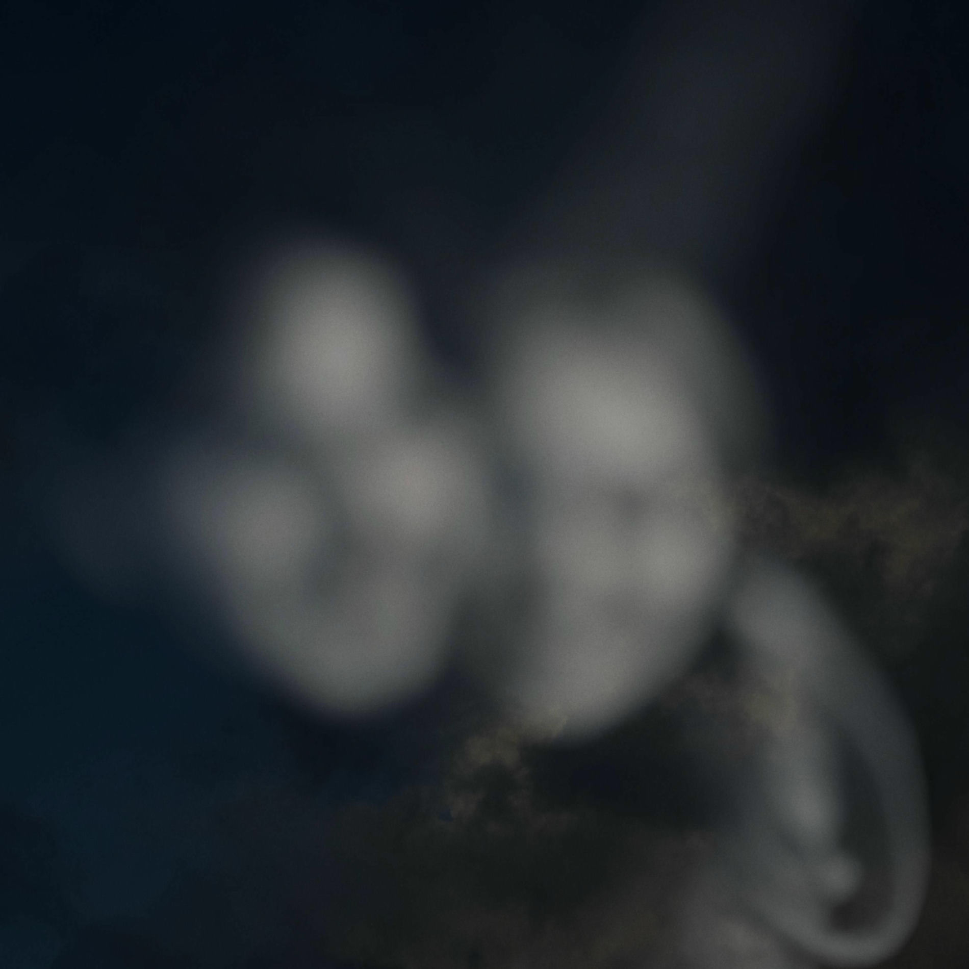 Album cover of Zephyr