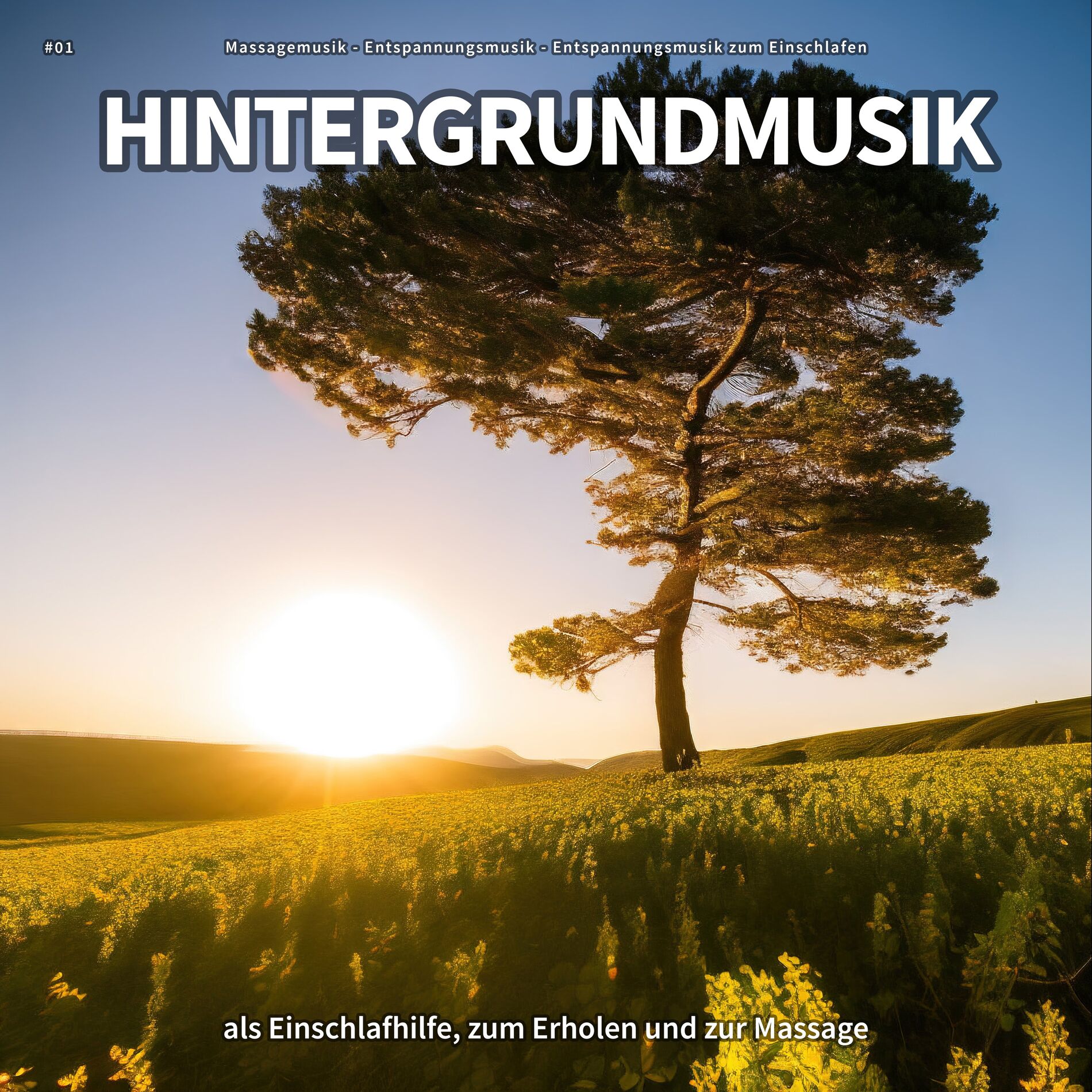 Album cover of Ruhige Musik gegen Angst
