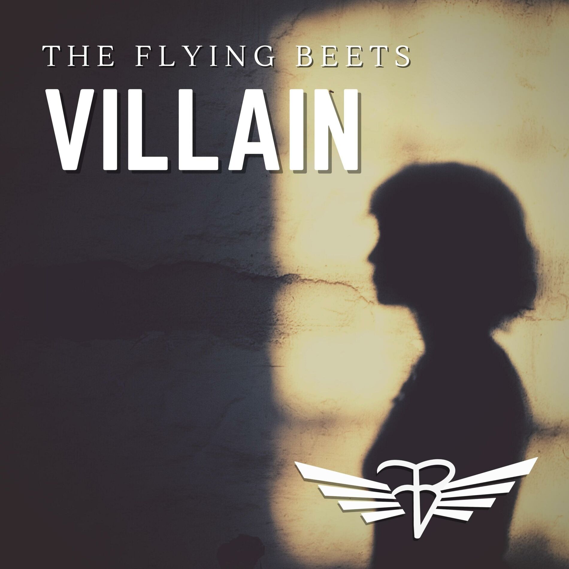 Album cover of Villain