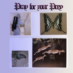 Cover of Pray For Your Prey