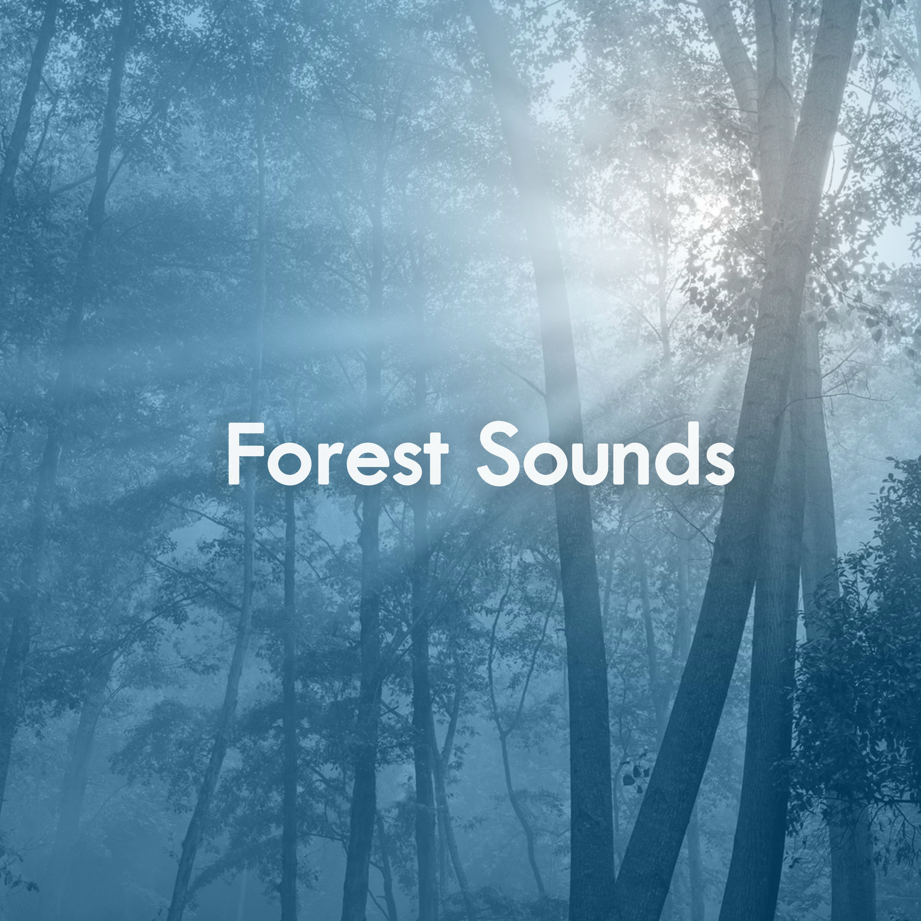 Album cover of Relaxing Jungle Sounds