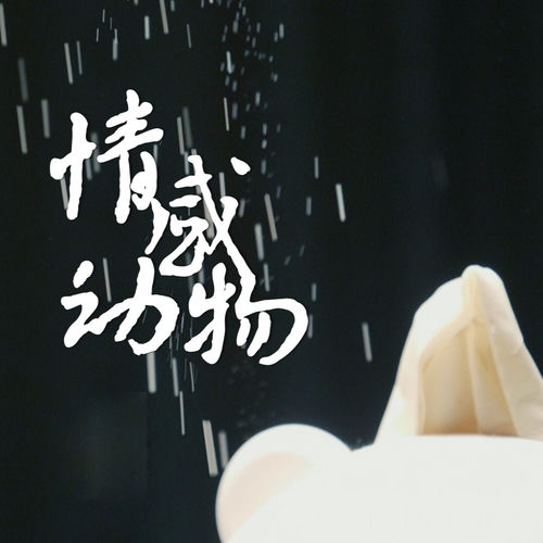 情感动物
