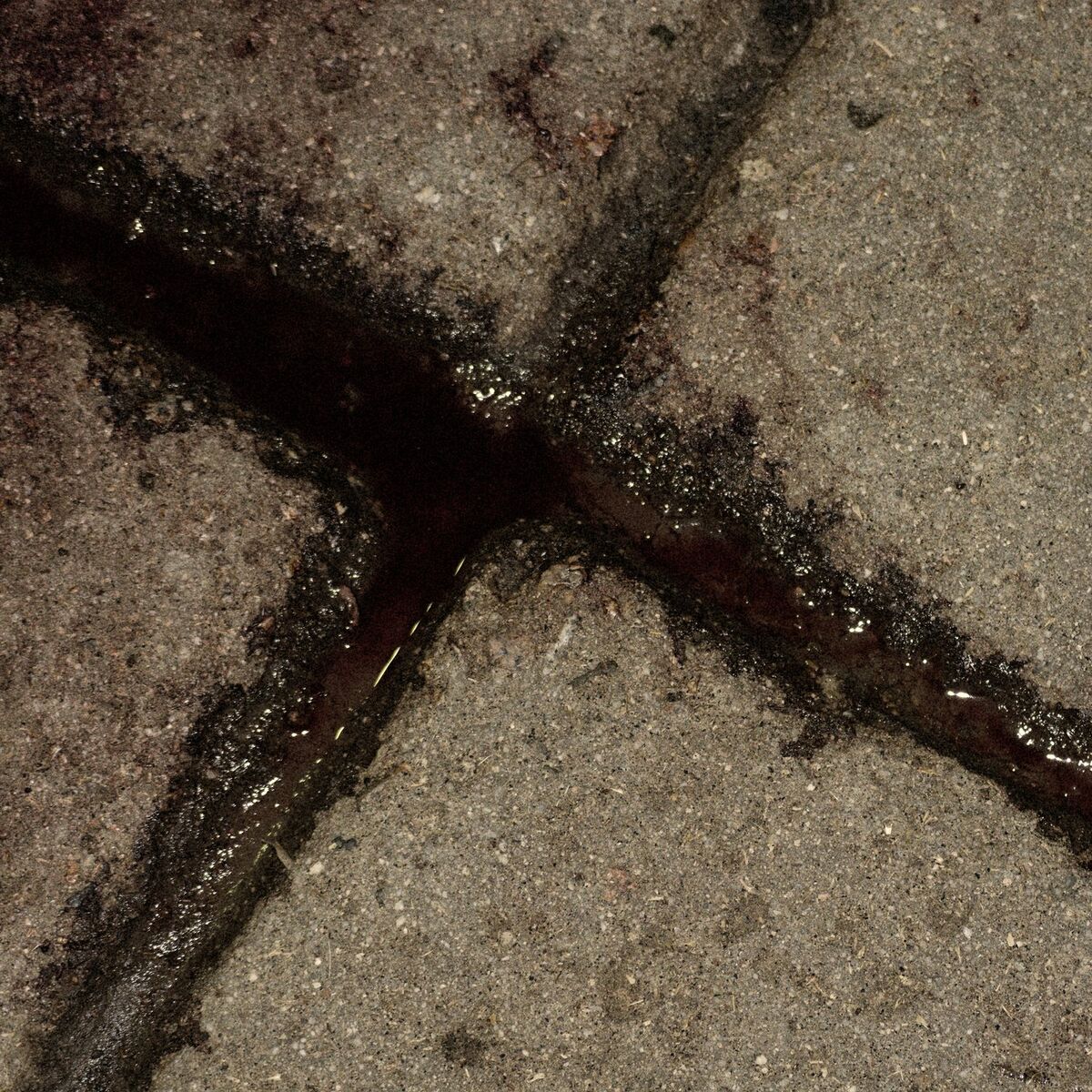 Album cover of Axe of Kindness