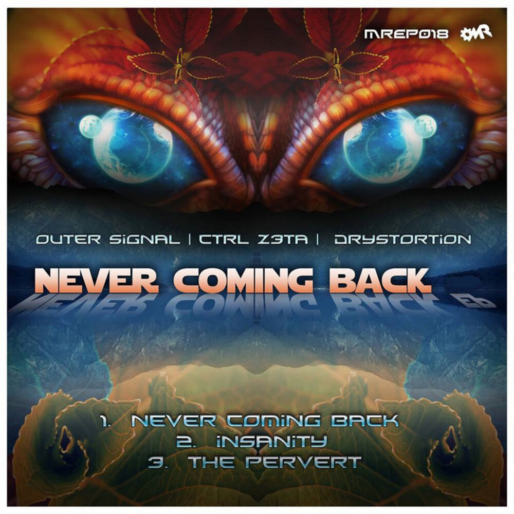 Picture of Never Coming Back