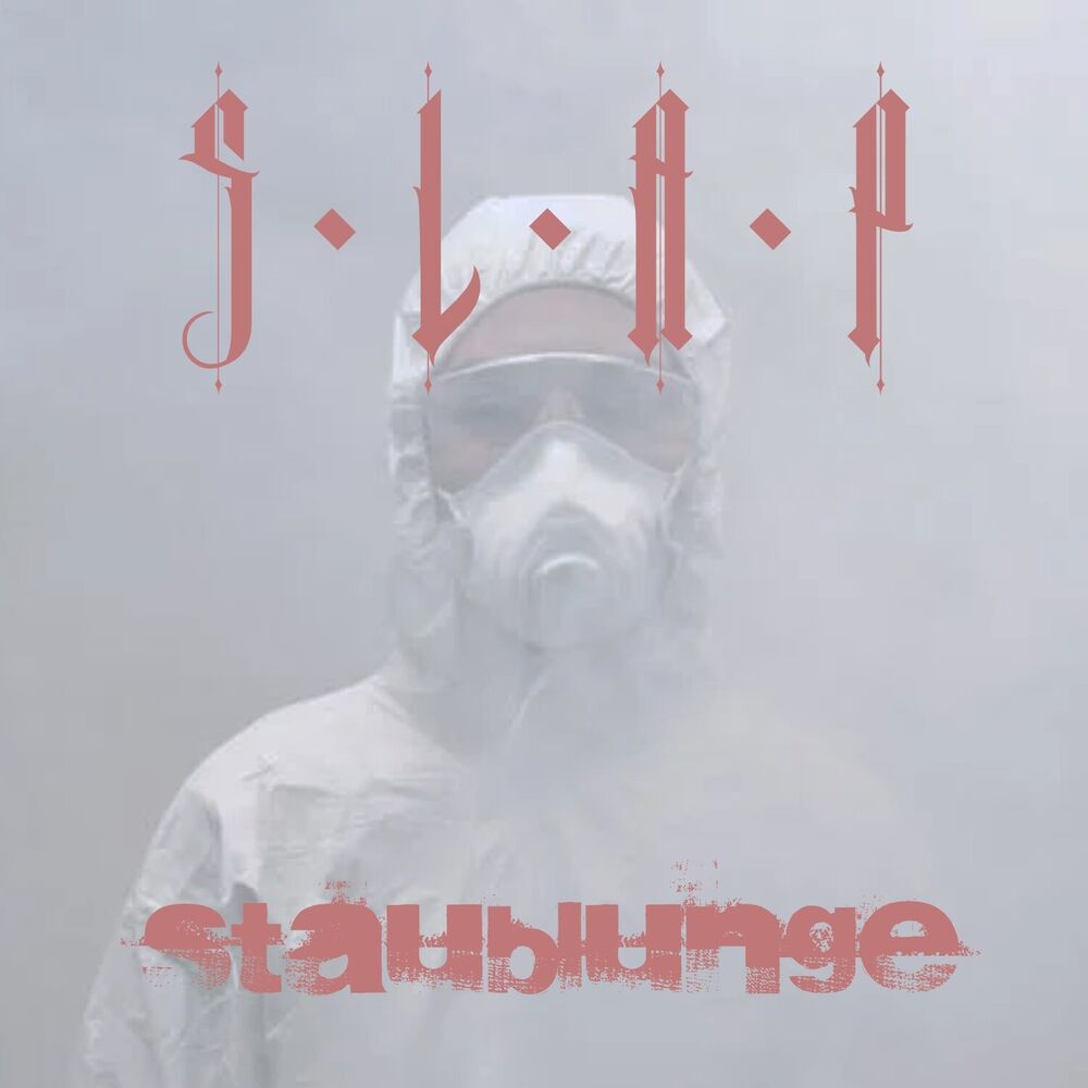 Picture of Staublunge