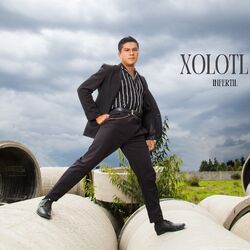 Cover of Infertil