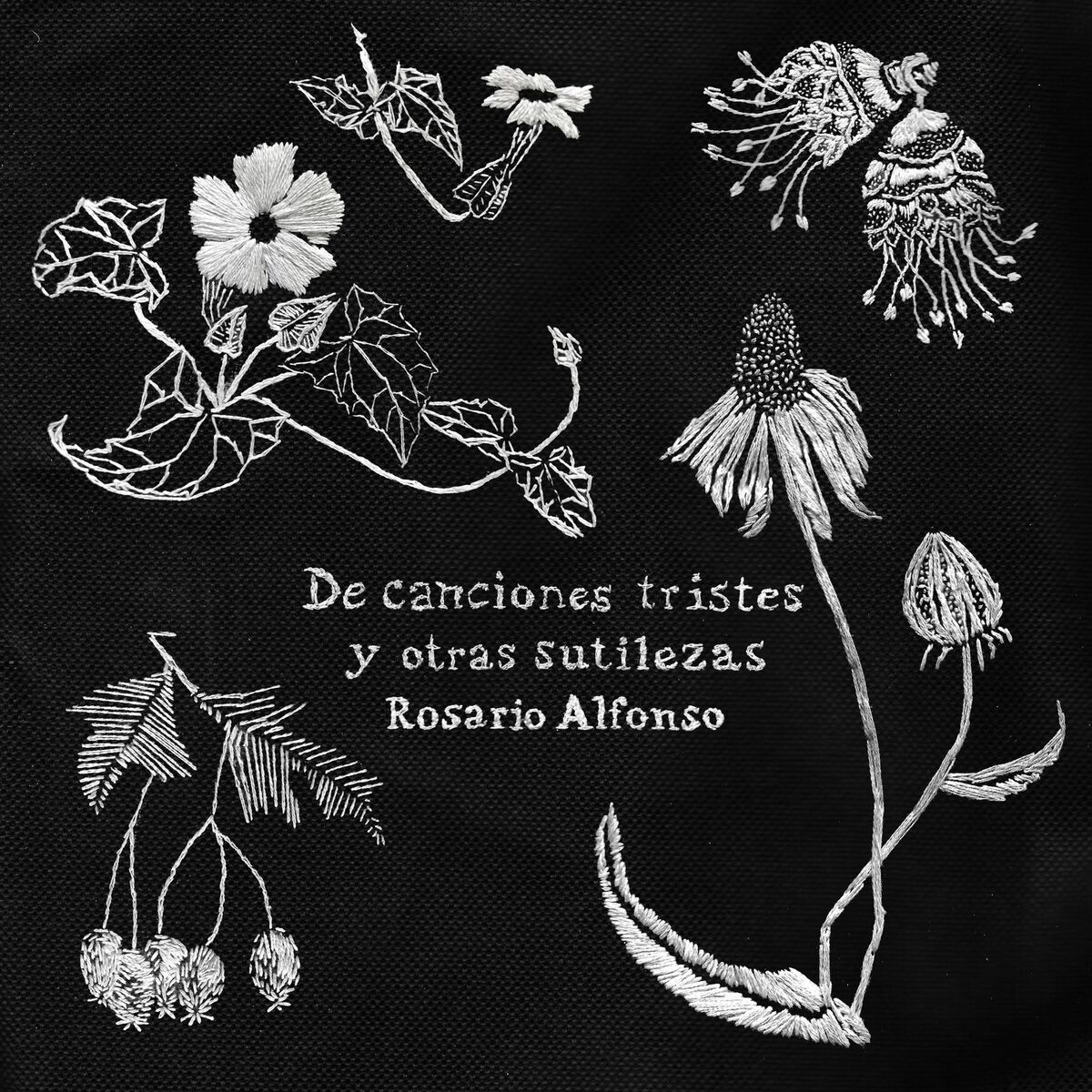 Album cover of De Canciones Tristes y Otras Sutilezas