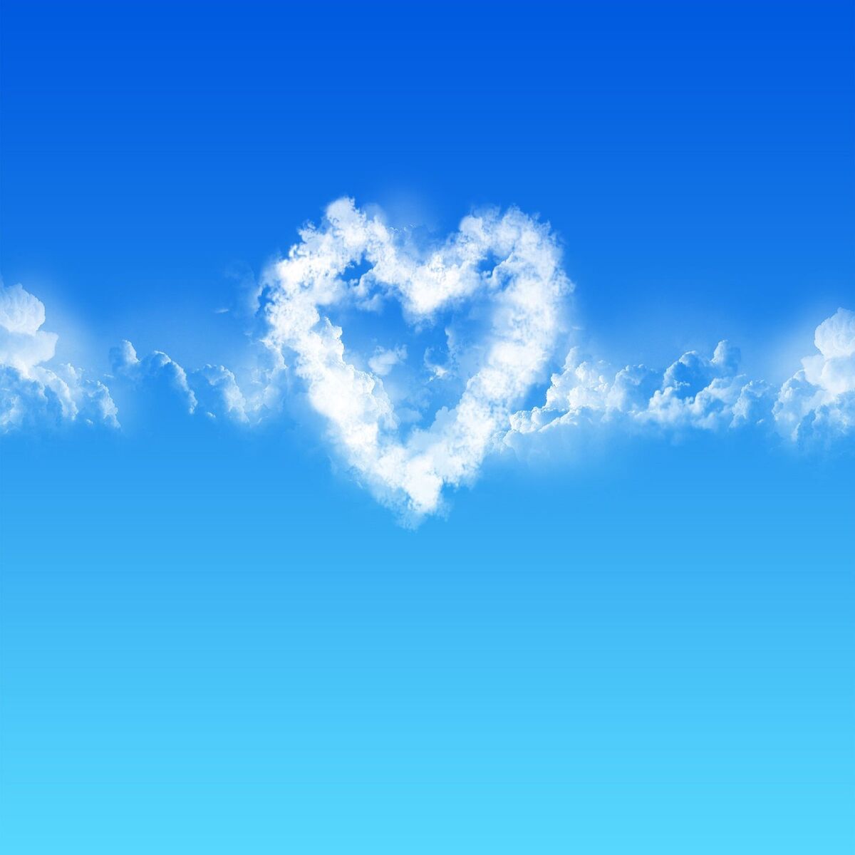 Album cover of Used to Love