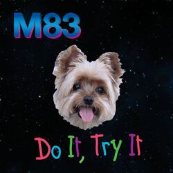 Cover of Do It, Try It (Remixes)