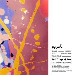 Cover of undo