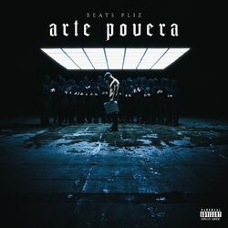 Cover of Arte Povera