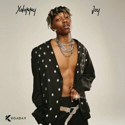 Cover of Joy