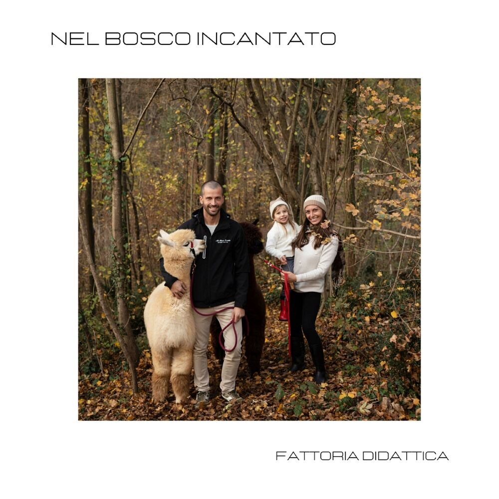 Picture of Nel Bosco Incantato