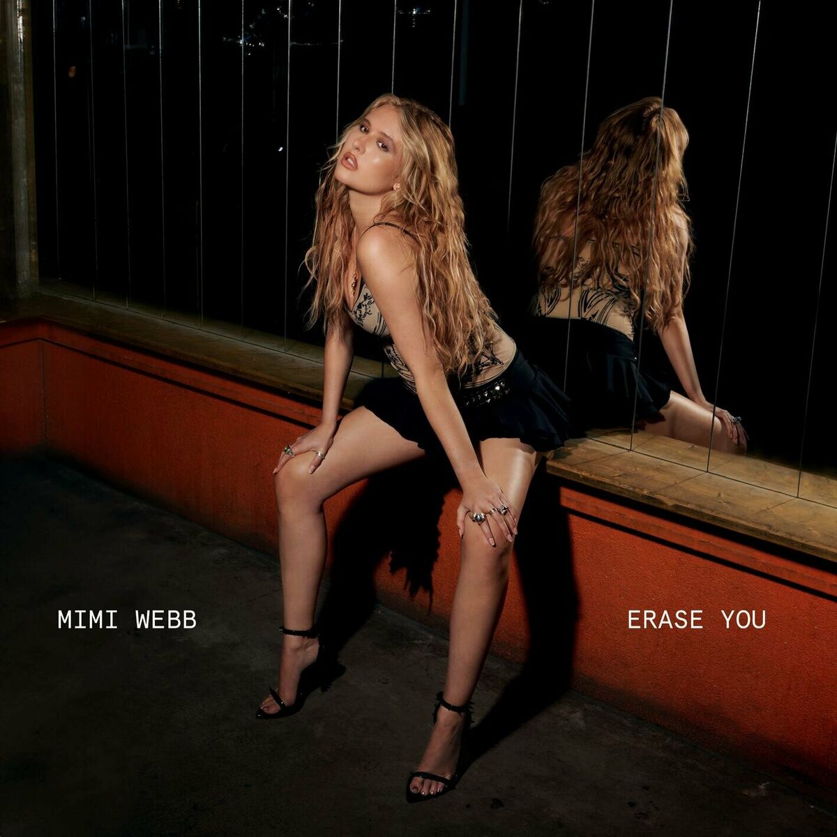 Album cover of Erase You