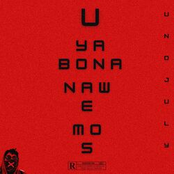 Cover of Uyabona Nawe Mos