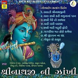 Cover of Shrinathji Ni Zankhi-Nonstop Satsang Kirtan Part 23