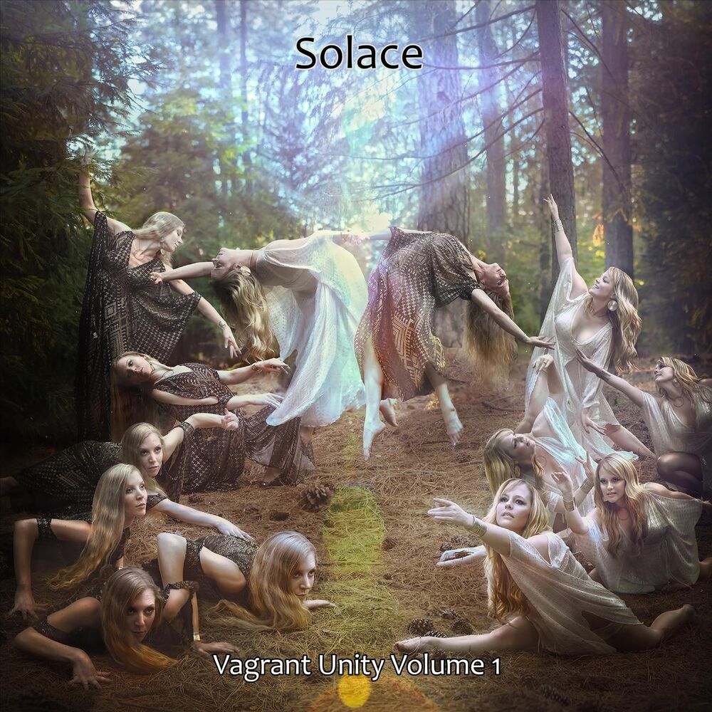 Picture of Vagrant Unity, Vol. 1