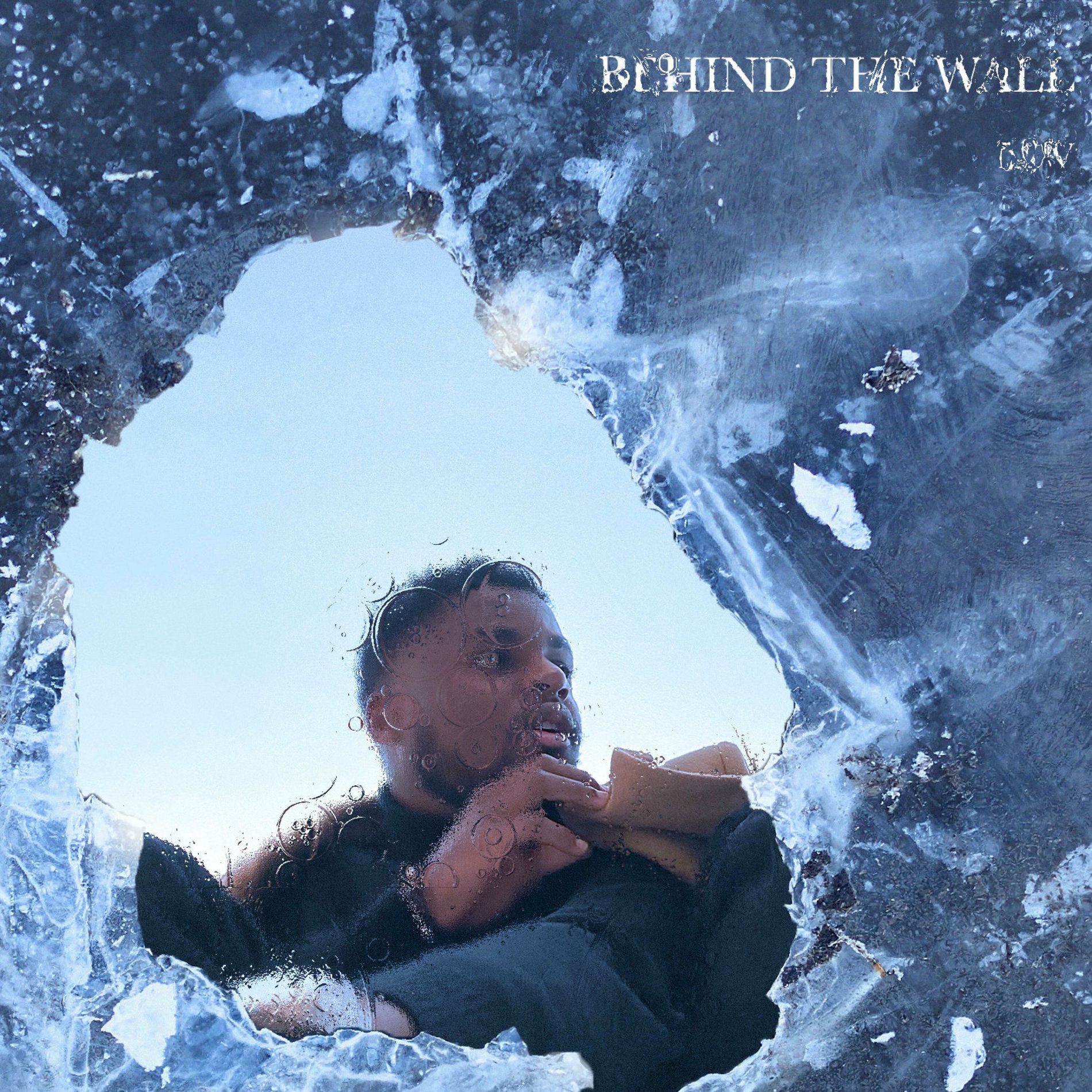 Album cover of BEHIND THE WALL