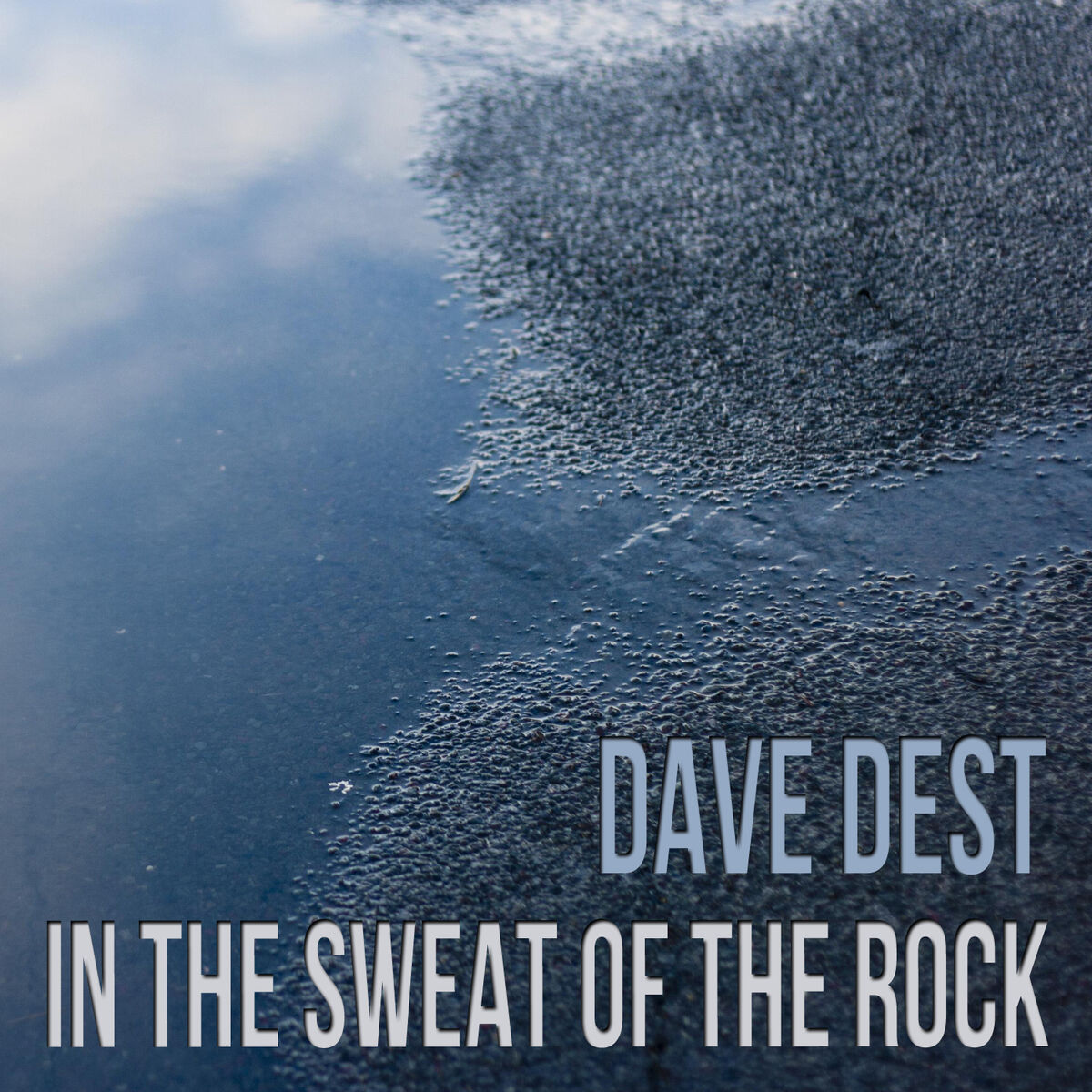 Album cover of In the Sweat of the Rock