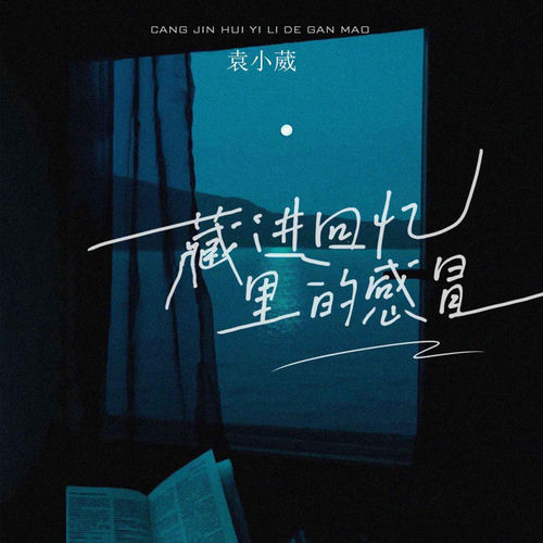 藏进回忆里的感冒
