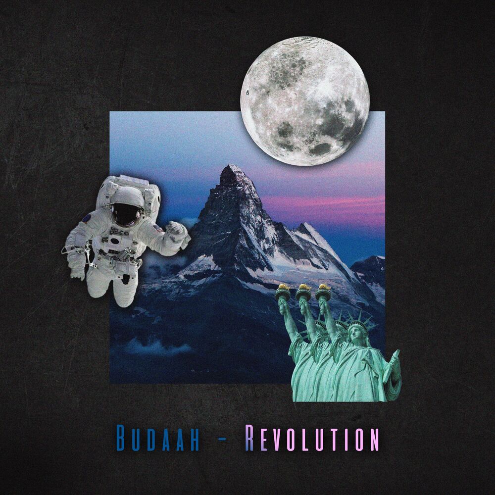 Picture of Revolution