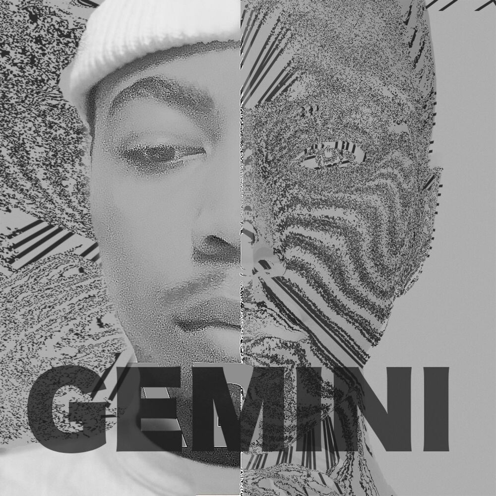 Picture of Gemini