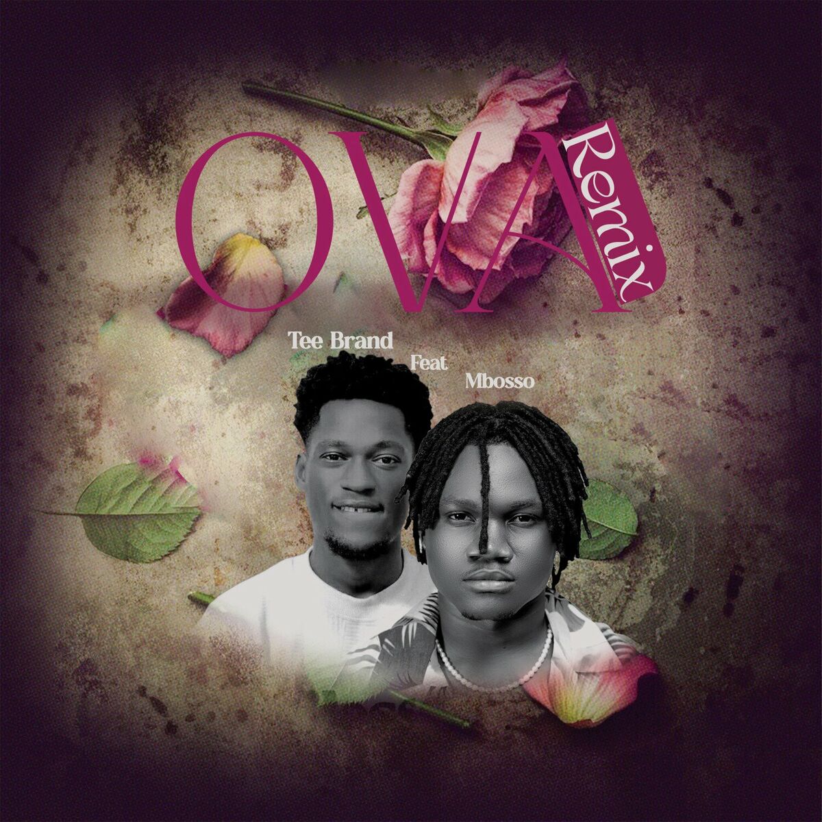 Album cover of Ova (Remix)