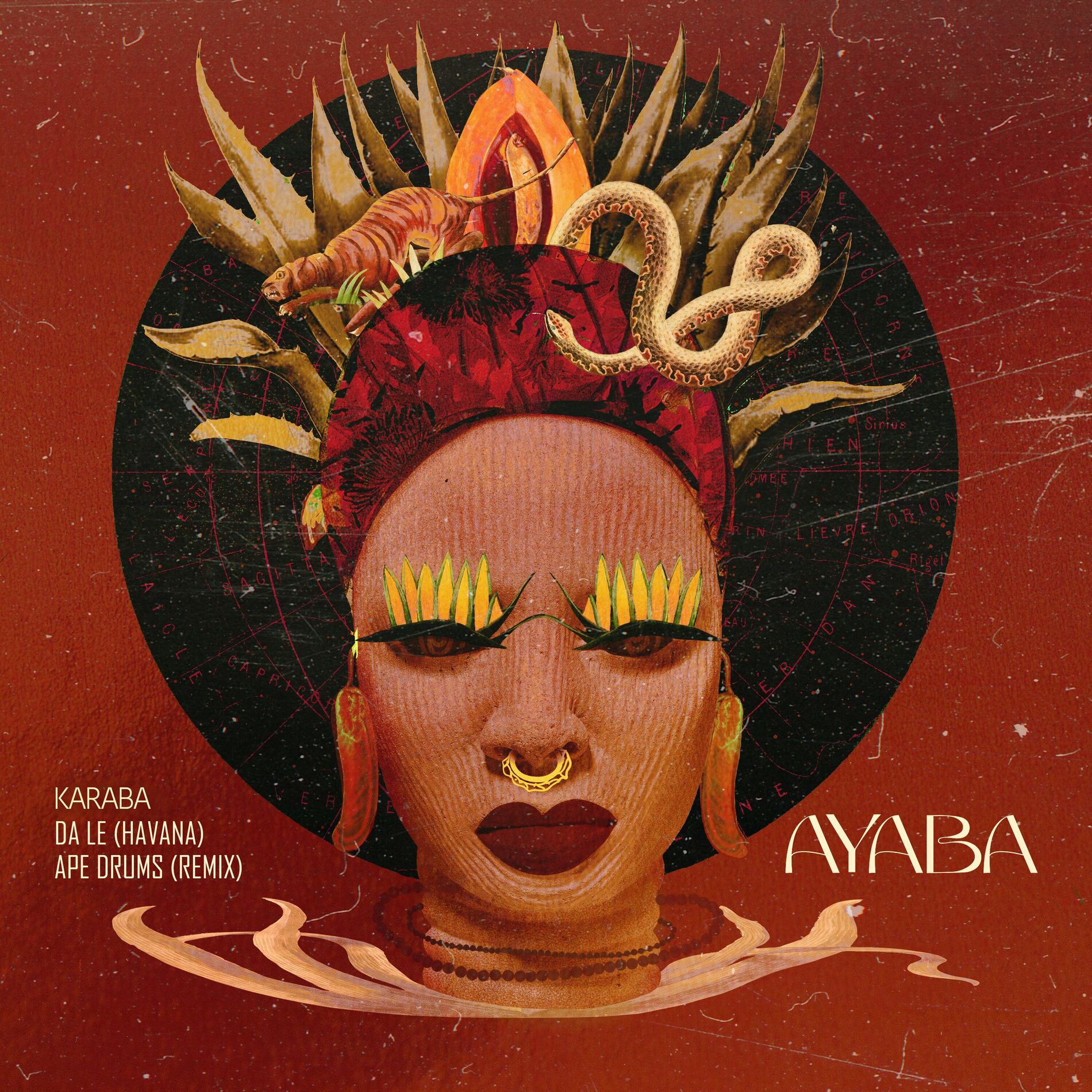 Album cover of Ayaba (Ape Drums Remix)