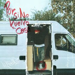 Cover of Por Si No Vuelvo A Casa
