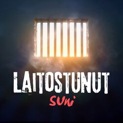 Cover of Laitostunut