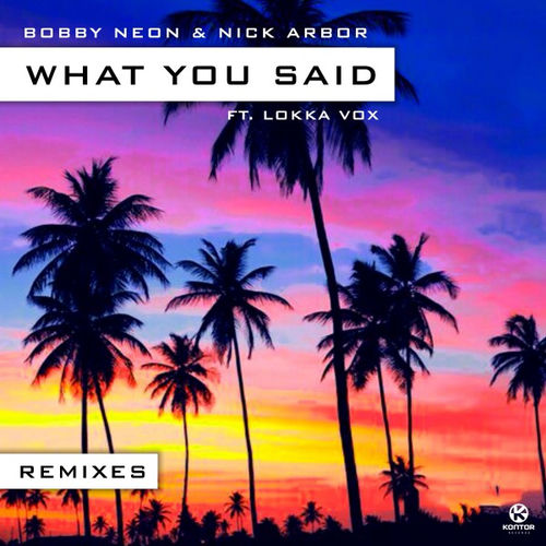What You Said (Remixes)