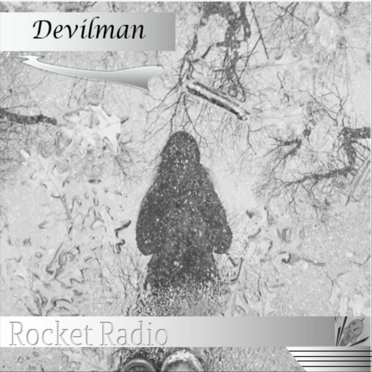 Album cover of Devilman