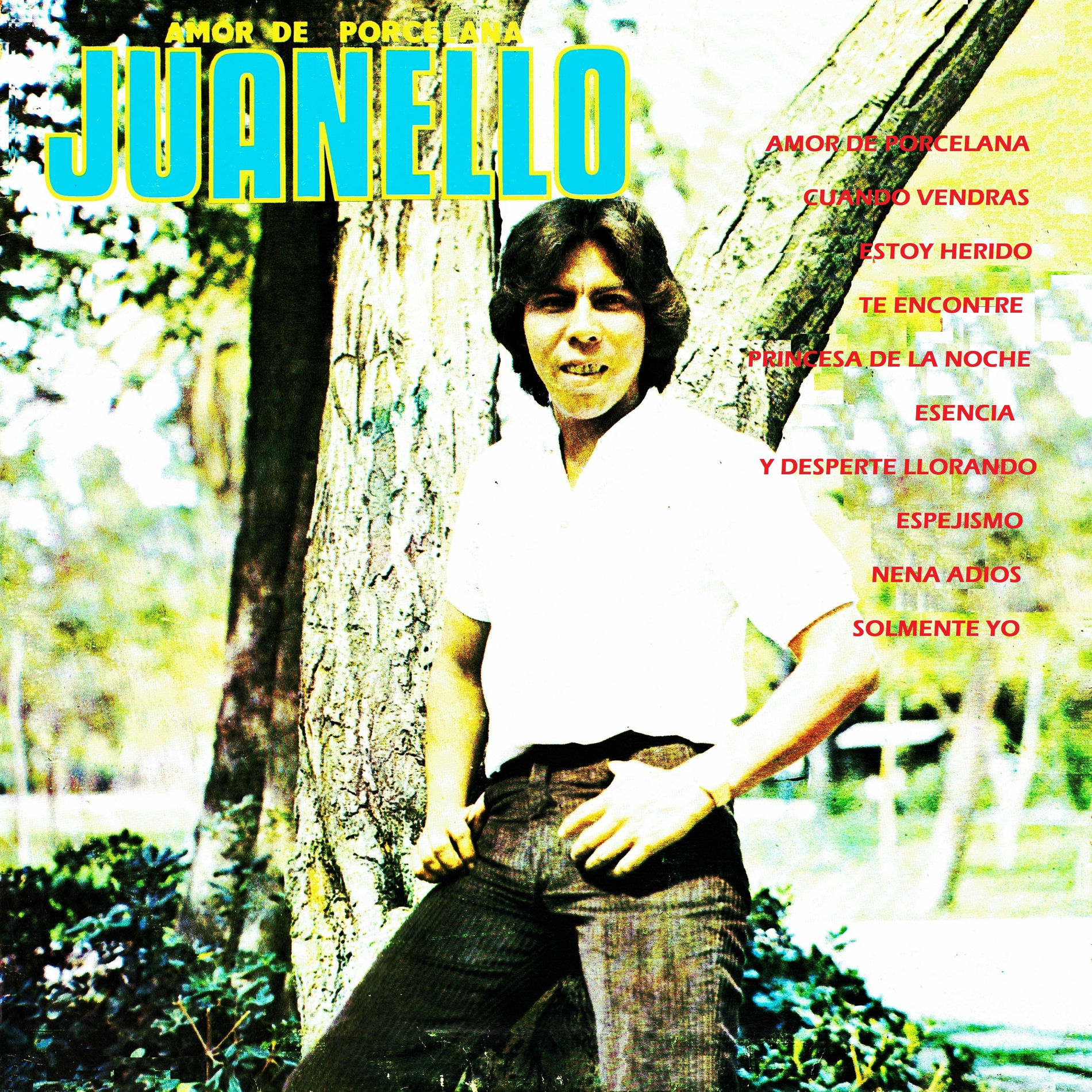 Album cover of Amor de porcelana