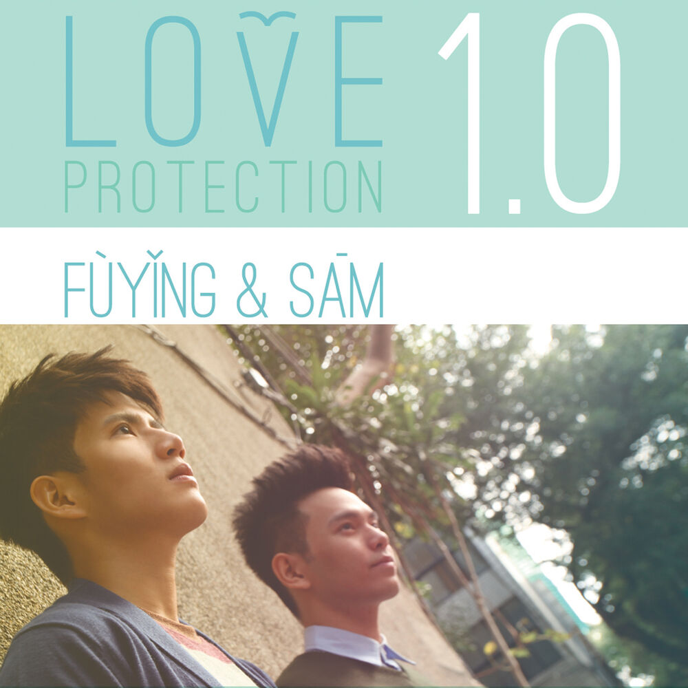 Picture of Love Protection 1.0