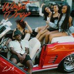 Cover of Waist Drop