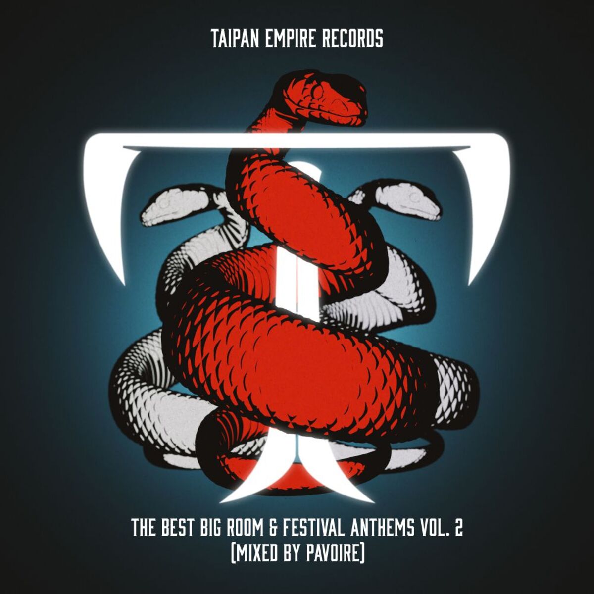 Album cover of The Best Big Room & Festival Anthems Vol. 2 (mixed by Pavoire)